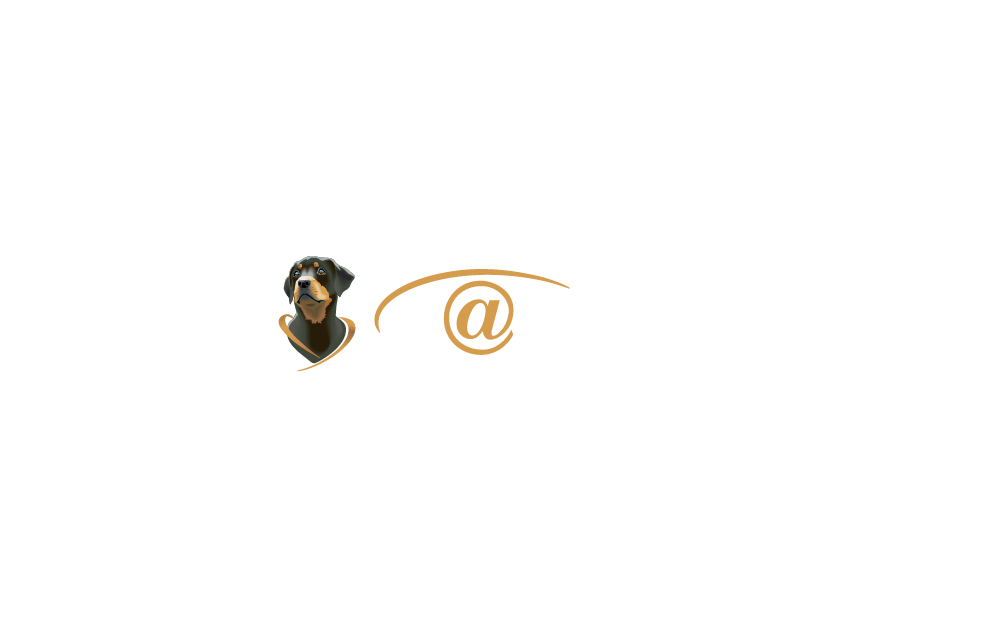 Партнер симпозиума 8
